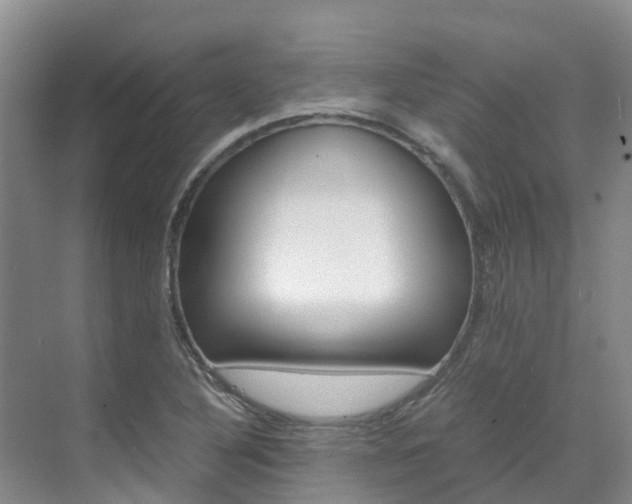 X0000071811316200606301025