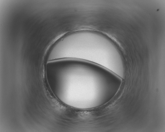 X0000071811317200606301025