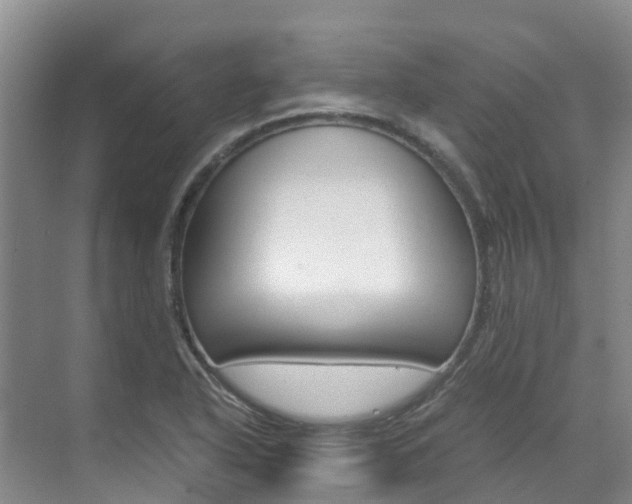 X0000071811318200606301025