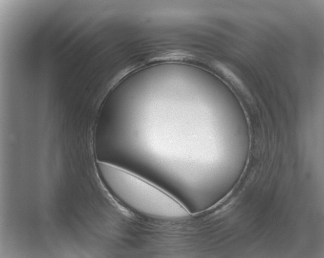 X0000071811329200606301025