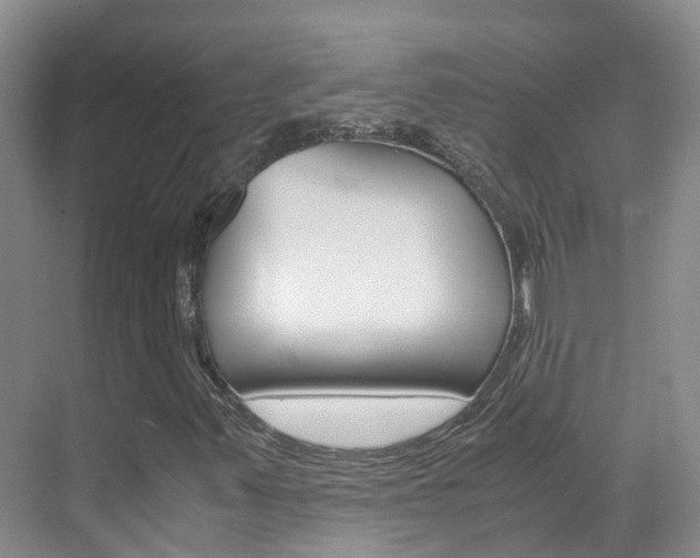 X0000071811347200606301025