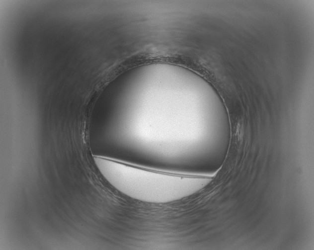 X0000071811348200606301025