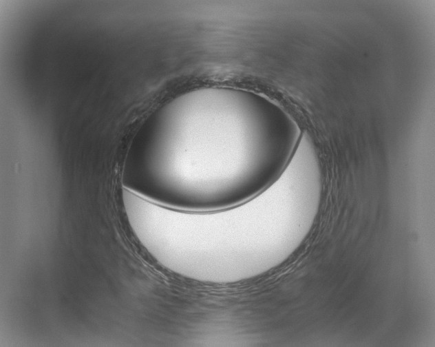 X0000071811349200606301025