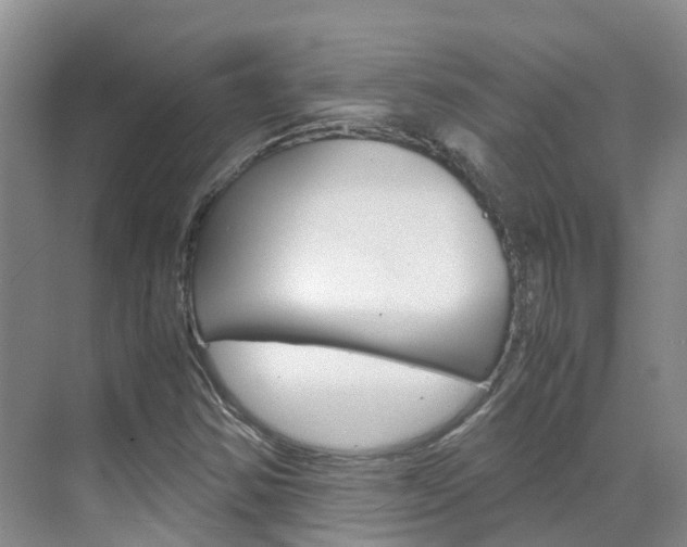 X0000071811354200606301025