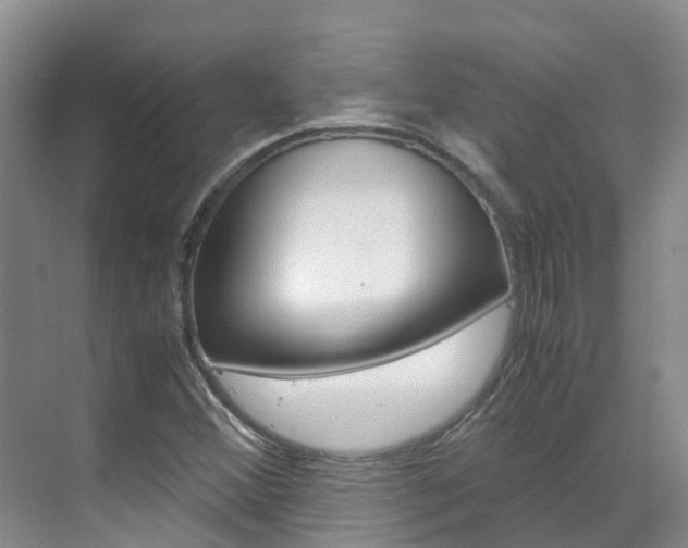 X0000071811356200606301025