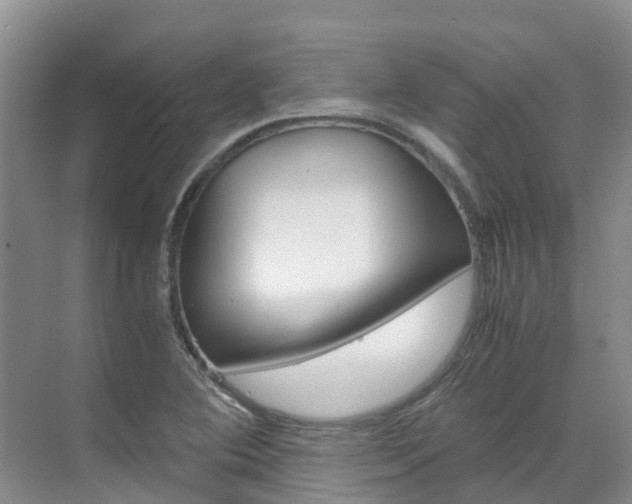 X0000071811364200606301024