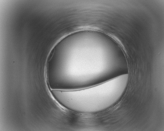 X0000071811391200606301024