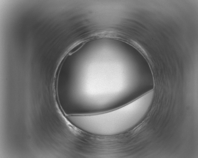 X0000071811434200606301024
