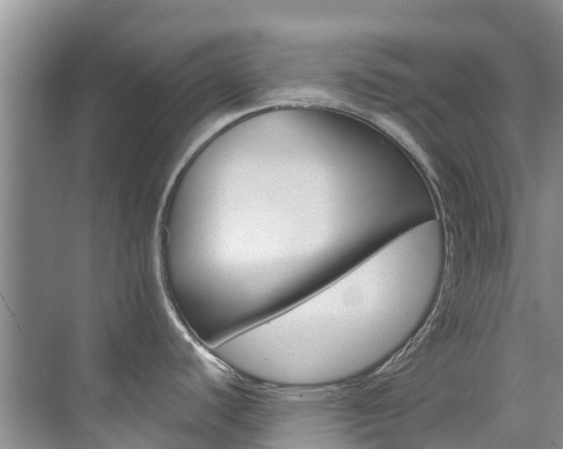 X0000071811440200606301024