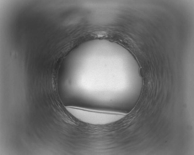 X0000071811442200606301023
