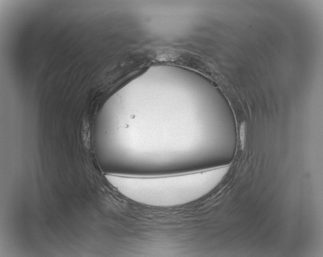 X0000071811443200606301023