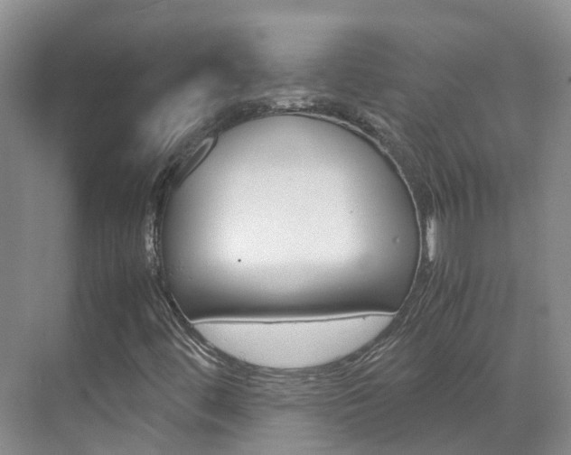 X0000071811444200606301023
