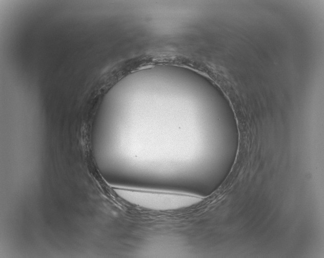 X0000071811445200606301023
