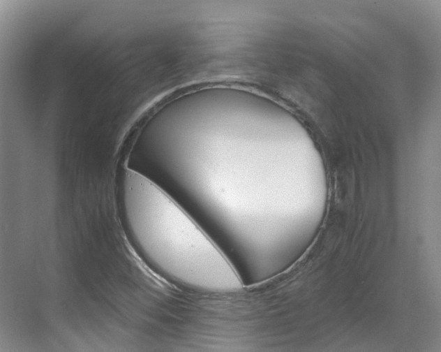 X0000071811452200606301023