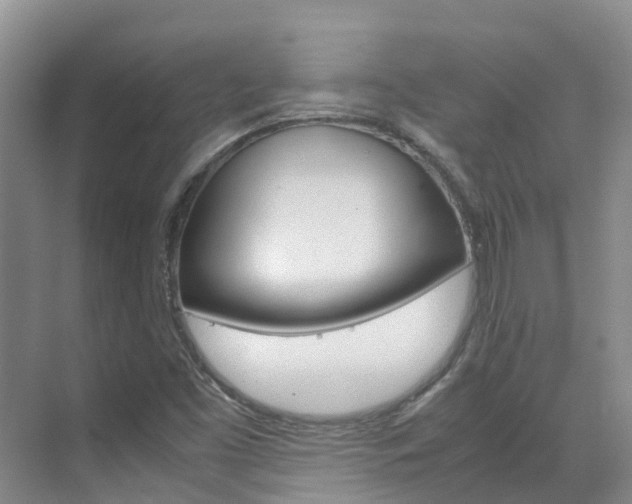 X0000071811453200606301023