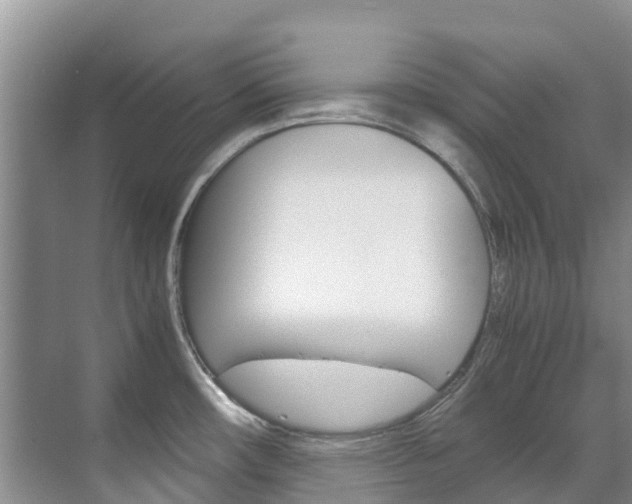 X0000071811482200606301023