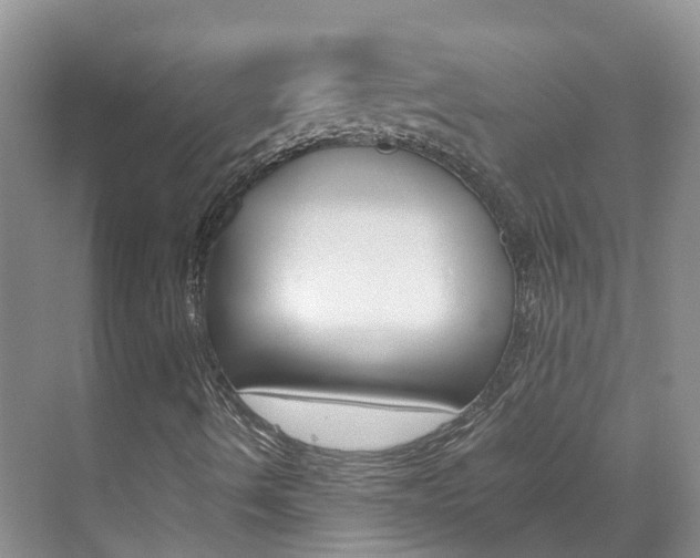X0000071811490200606301022