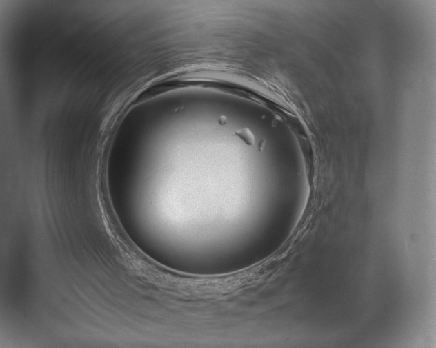 X0000071810001200606301239