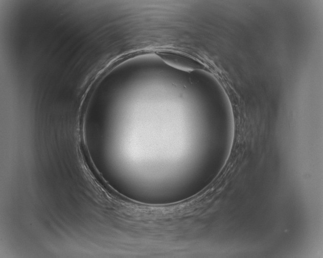 X0000071810002200606301239