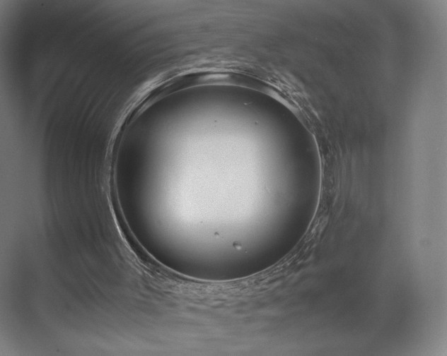 X0000071810003200606301239