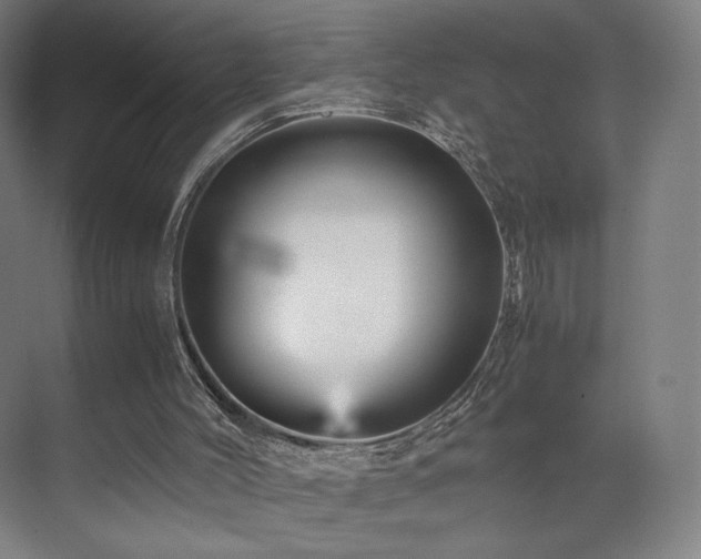 X0000071810004200606301239