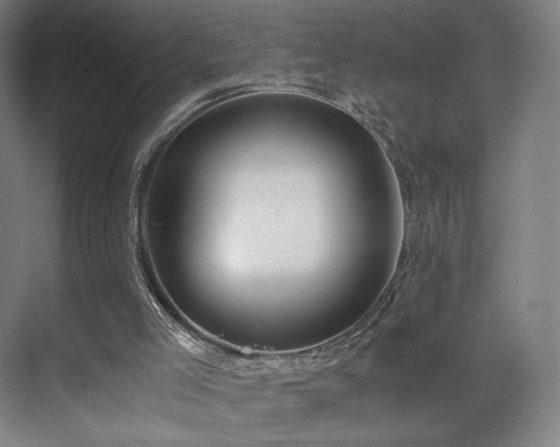 X0000071810005200606301239