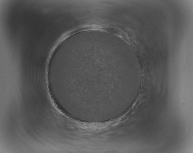 X0000071810006200606301239