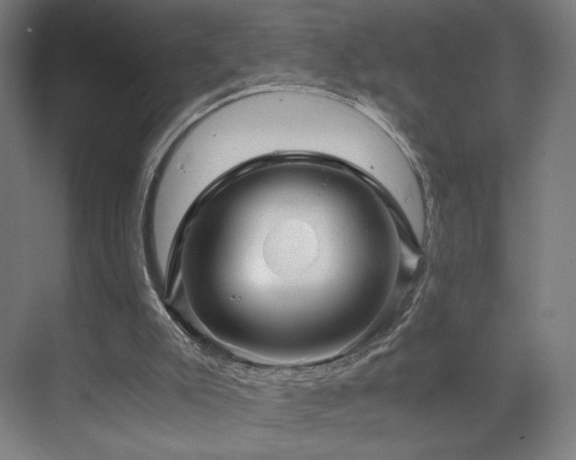 X0000071810007200606301239