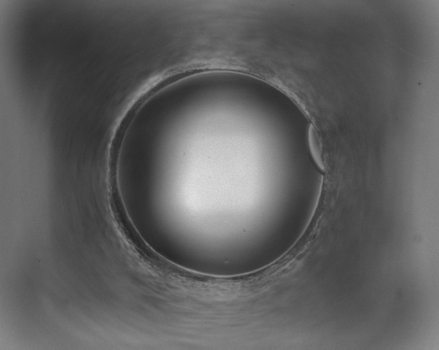 X0000071810008200606301239