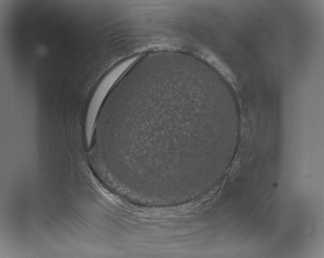 X0000071810009200606301239