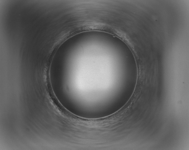 X0000071810010200606301239