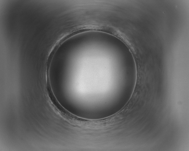 X0000071810011200606301239