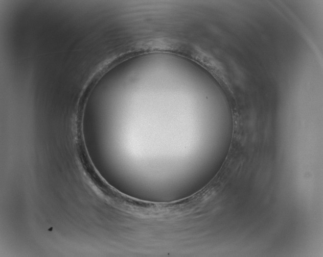 X0000071810012200606301239