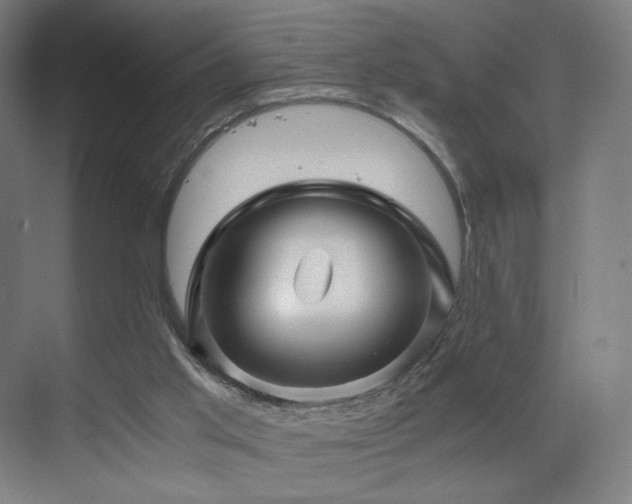 X0000071810013200606301239