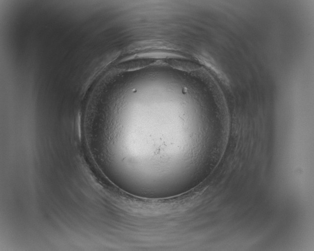 X0000071810014200606301239