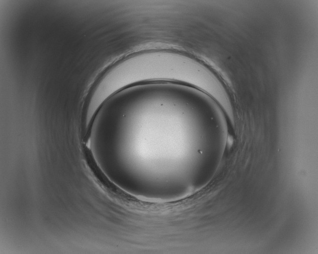 X0000071810015200606301239