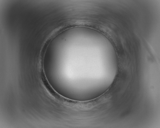 X0000071810016200606301239