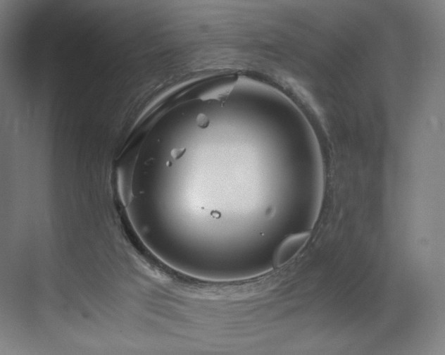 X0000071810017200606301239