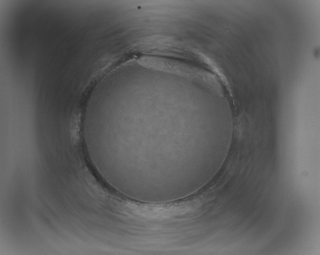 X0000071810018200606301239