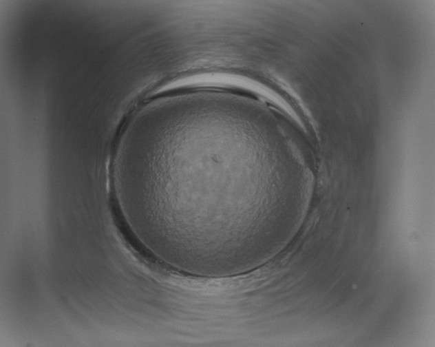 X0000071810019200606301239