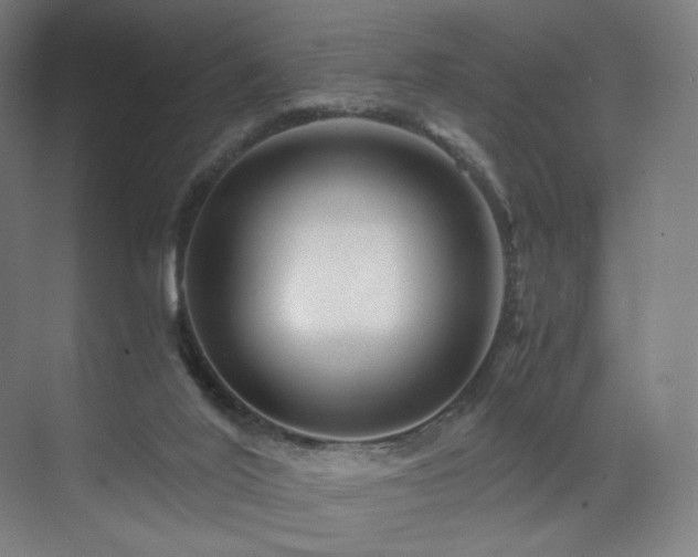 X0000071810020200606301239