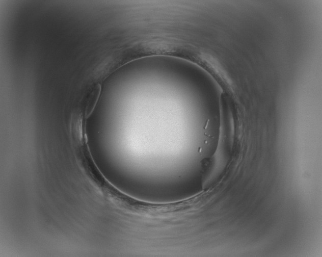 X0000071810021200606301238