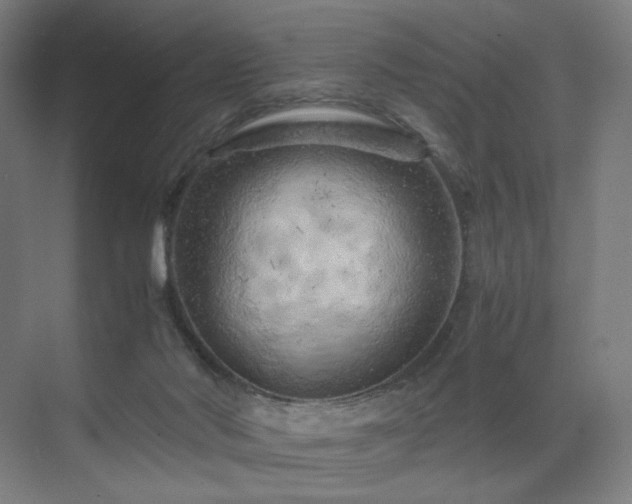 X0000071810022200606301238