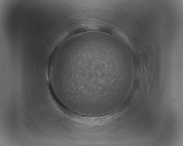 X0000071810023200606301238