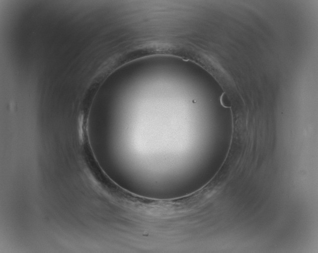 X0000071810024200606301238