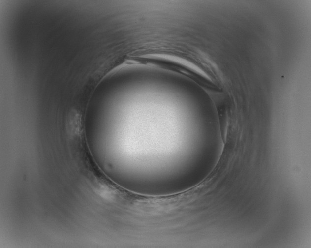 X0000071810025200606301238