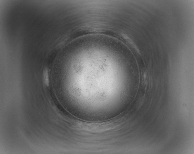 X0000071810026200606301238