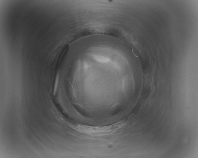 X0000071810027200606301238