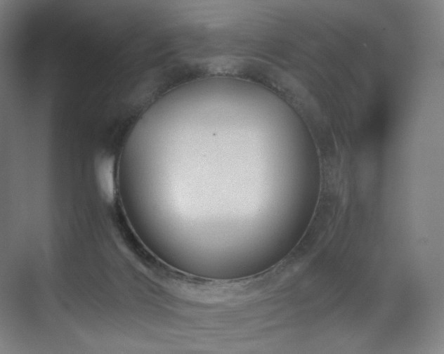 X0000071810028200606301238