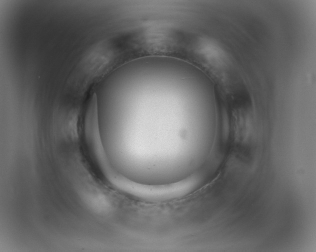 X0000071810029200606301238